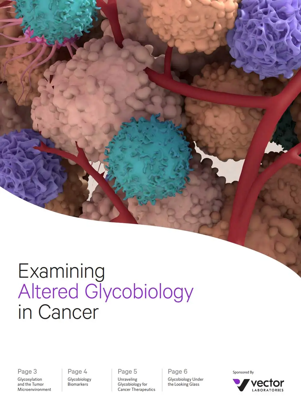 Glyco in Cancer infographic Cover 3