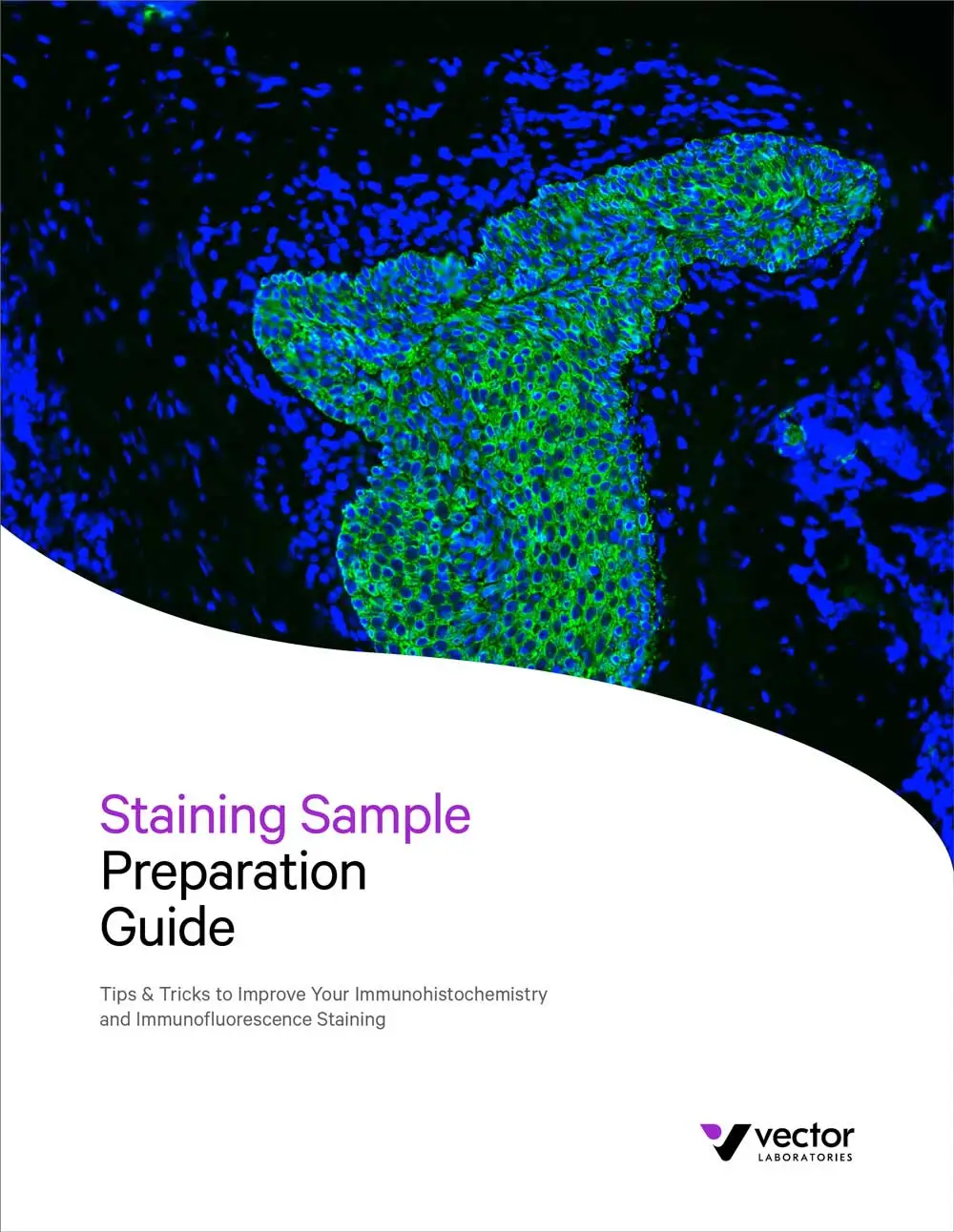 Sample Prep Guide Cover Image 3